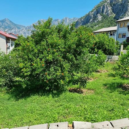Apartments Luka Kotor Buitenkant foto
