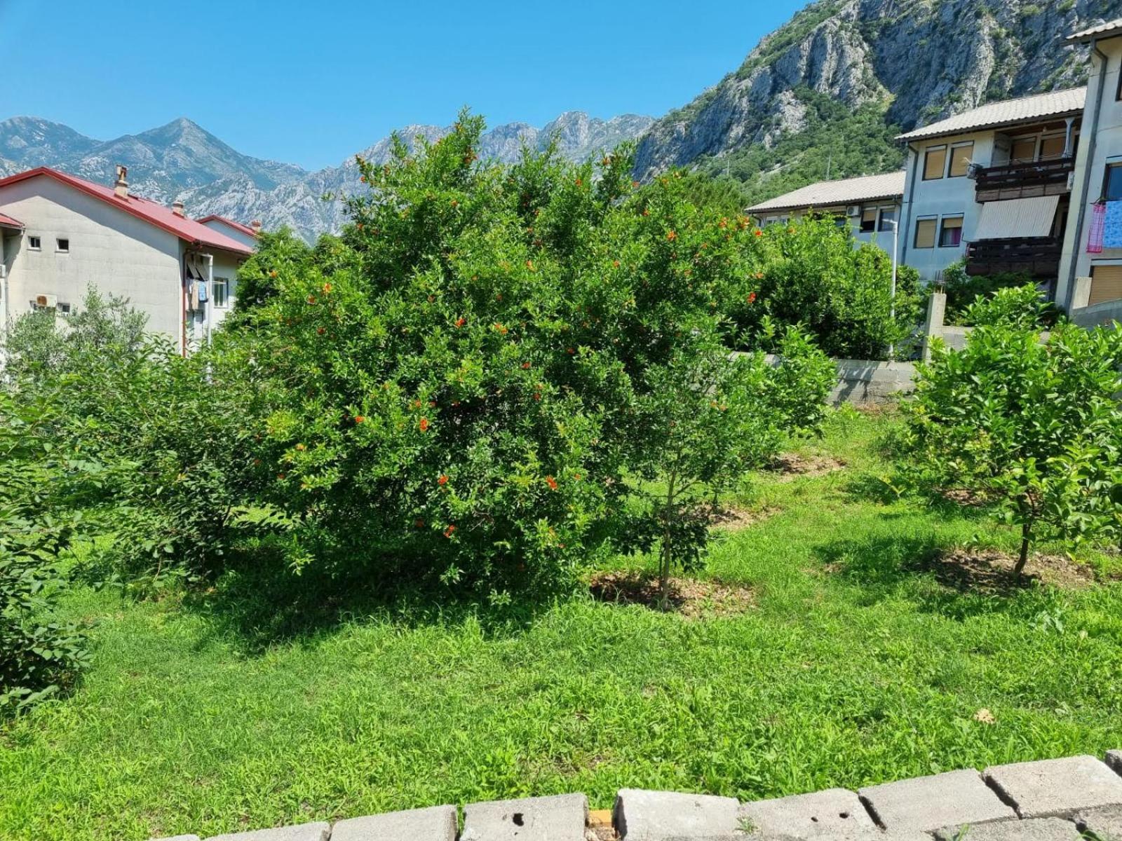 Apartments Luka Kotor Buitenkant foto